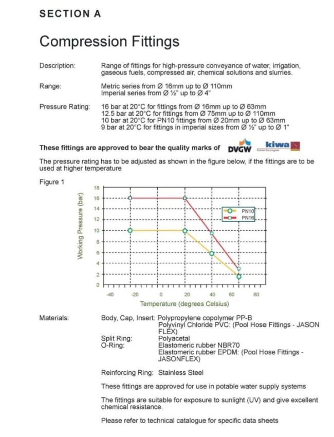 Jason Compression-Female BSP Tee 3 Jason Compression-Female BSP Tee - Image 3