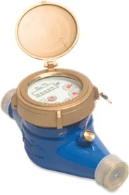 Water Meter Dry Display- Brass Epoxy Coated.
