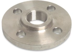 Stainless Steel Threaded Flange-DIN2566 316 DN/PN16 1 Stainless Steel Threaded Flange-DIN2566 316 DN/PN16
