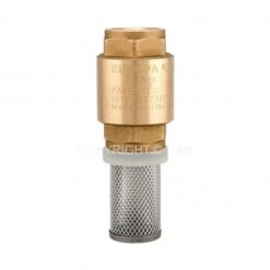 Brass Spring Loaded Non Return Foot Valve ITAP Europa Female BSP Thread 12/25 Bar